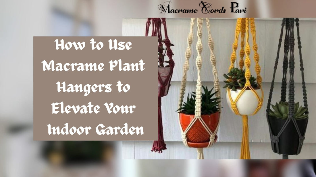 How to Use Macrame Plant Hangers to Elevate Your Indoor Garden
