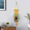 Plant Hanger
